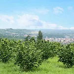 Nyaraló Casa Pianezzo Dogliani